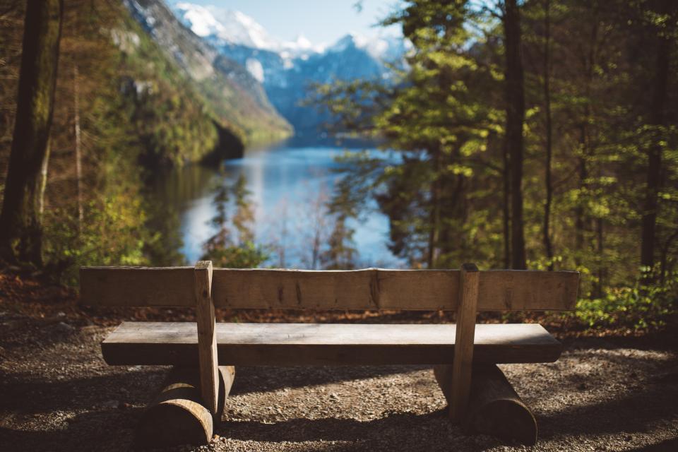 A bench by the lake